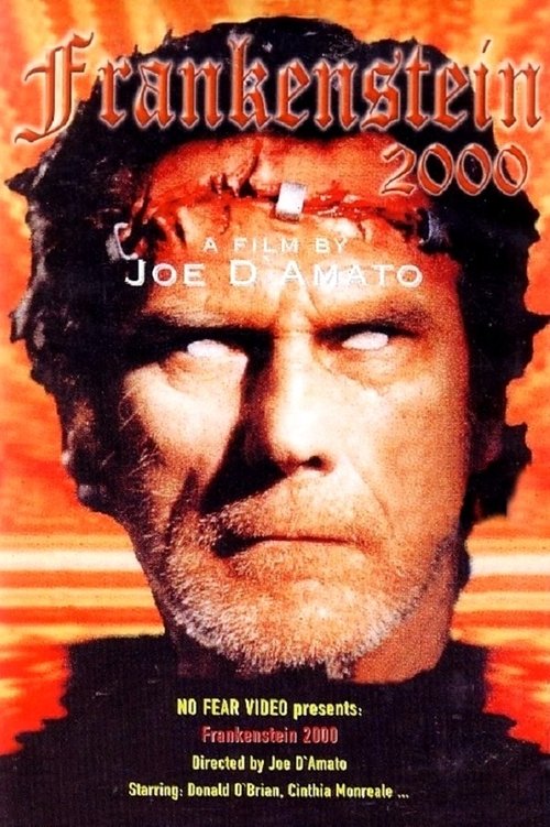Return from Death: Frankenstein 2000, 1991 – ★★★