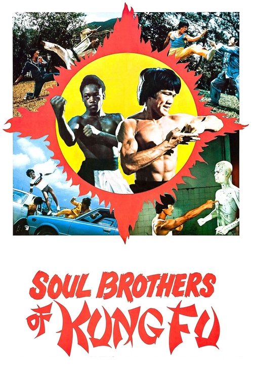 Soul Brothers of Kung Fu, 1977 – ★★★½